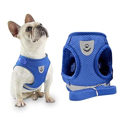 Puppy Harness Small Dog Harness Lead Sets Vest Chest Strap Breathable Mesh Soft Fabric for Puppy Small Dog Outdoor Walking Training No Pull Harness (S, BLUE)