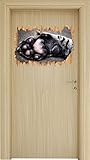  Schöne Katzenpfote Holzdurchbruch im 3D-Look , Wand- oder Türaufkleber Format: 62x42cm, Wandsticker, Wandtattoo, Wanddekoration