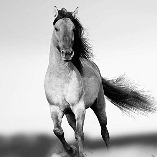 Fresque murale 3D style chinois cheval de salon, peinture haut de gamme 350x245cm