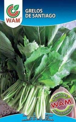 Semillas de Grelos de Santiago (100 gr.)