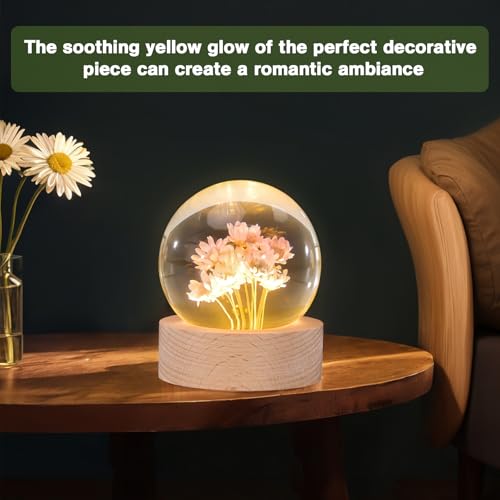 Image of Daisy Lamp,2.4-Inch Flower Crystal Ball Night Light, Real Daisies Inside with Wood Base, Warm Bedroom Glow (Daisy)