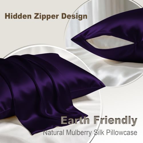 Image of LYSHIN Silk Pillow Cases 2 Pack Queen Size with Zipper, Purple | 19 Momme Mulberry Silk Pillowcase for Skin and Hair, Anti-Acne, Hypoallergenic, Cooling, Beauty Sleep, Gifts for Women