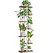 Soporte para Plantas de 7 Niveles para Interiores, Estantes para Macetas de Flores Altos y Bajos Madera y Metal, Soporte para Macetas de 8 Macetas para Balcón, Esquina(Blanco, 7 Niveles y 8 Macetas )