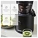 Hurom H320 Slow Juicer | Ultra Low Pulp | Hands-Free | Hopper Fits Whole Produce | Quiet Motor | BPA Free | Easy Assembly | Cold Press Masticating Juicer (Black Slow Juicer)