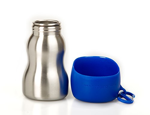 KONG H2O KG95BLU Stainless Edelstahl Wasserflasche, 0.28 L, S, blau