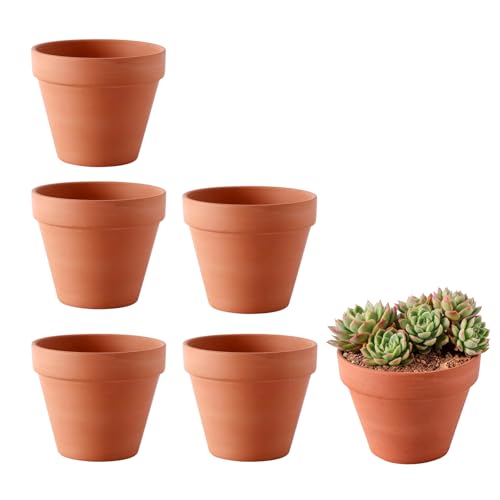 FDKene 6 Piezas Macetas de Terracota 12 x 10 cm, Mini Macetas de Barro con Agujero de Drenaje, Macetas Pequeñas para Suculentas, Cactus, Plantas, Semillas, Decoración, Interior y Exterior