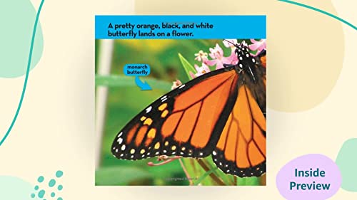 National Geographic Kids Look & Learn: Caterpillar to Butterfly