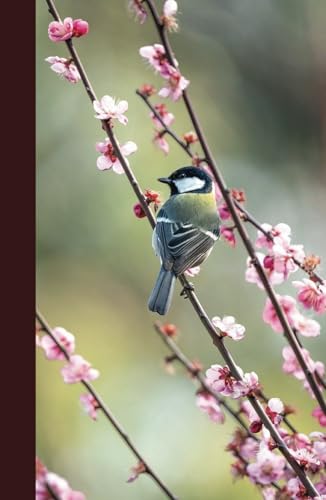 Journal: Japanese Tit in Red Plum Tree
