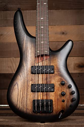 Ibanez Sr Standard 4-String Electric Bass (Antique Brown Stained Burst) #TOP9