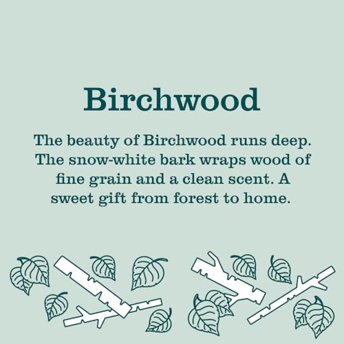 MRS. MEYER'S CLEAN DAY Liquid Hand Soap Refill, Birchwood Scent, 33 Ounce Bottle