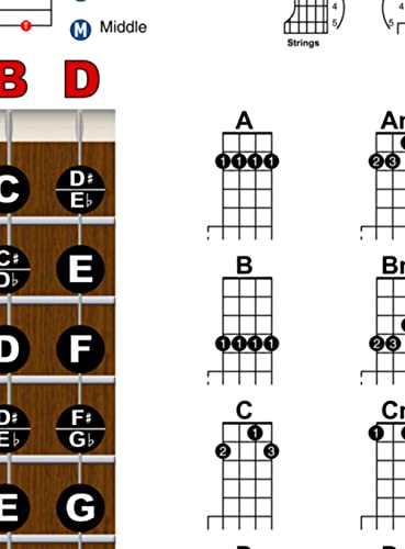 A New Song Music Banjo Easy Chords Rolls & Fretboard Note Chart Instructional Poster For Beginners Chord & Notes 11"X17" #TOP7