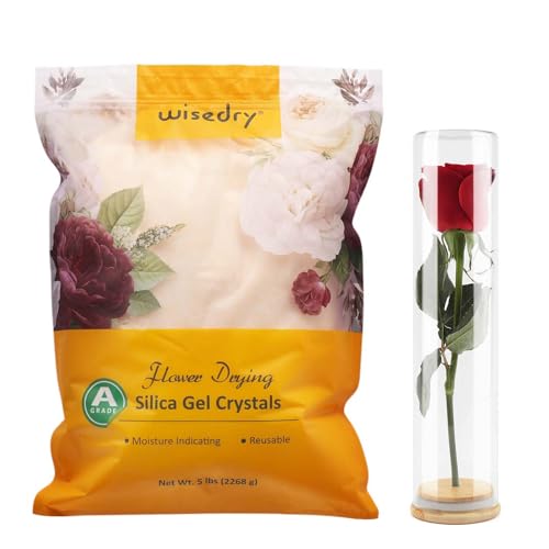 wisedry 5 LBS Silica Gel Flower Drying Crystals + Decorative