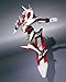 Robot Spirits Nirvash Type ZERO Spec2 Action Figure