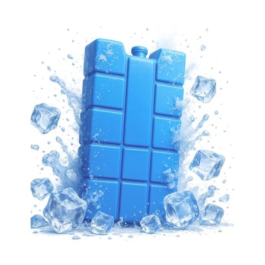 ToCi 8er Set Kühlakku mit je 200 ml | 8 Blaue Kühlelemente für die Kühltasche oder Kühlbox