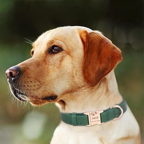 Collar para perro con hebilla dorada, suave PU, talla S miniatura 6