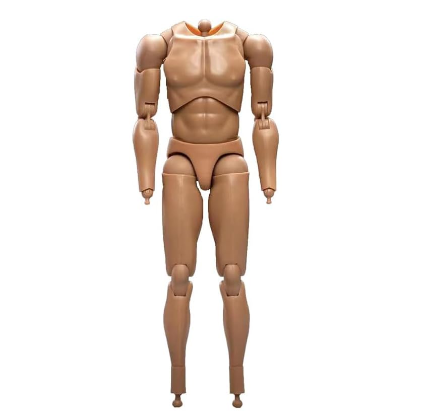 Figura De Acción Escala 1/6 Cuerpo Masculino Musculoso - 15 Cm Articulado, Color Marrón Claro