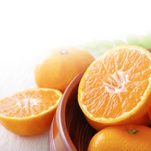 l݂ l݂ P[X  ꌧY JA 5kg S  M ݂ ~J  x12xȏ t[c ʕ ʎ  Ε Mtg  蕨 v[g j j 䋟  e ܂ƂߔyB