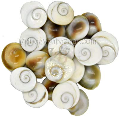 VRINDAVANBAZAAR.COM Gomti Chakra- 51 Pieces