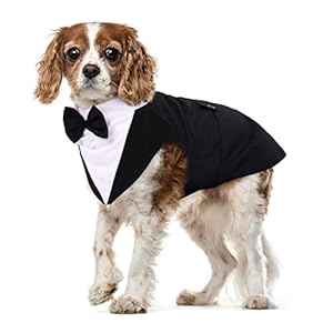 Esmoquin de Perro, Smoking para Perros Set Traje y Bandana para Boda Camisa de Pajarita Elegante Formal Ropa Abrigos para Fiesta de Cumpleaños Boda Navidad Halloween Party(Negro, M)