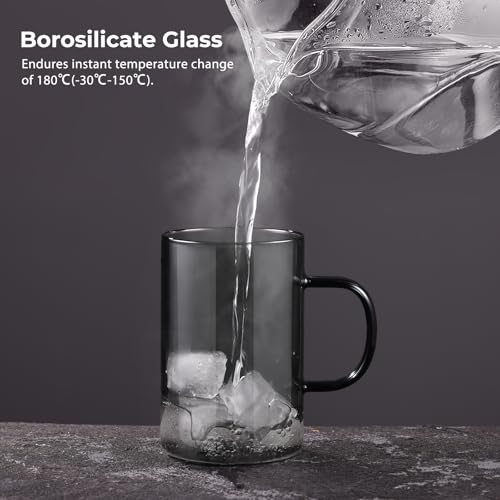 ecooe 16.9oz Glass Tea Cup with Infuser and Lid Clear Glass Tea Cup with Removable Stainless Steel Infuser & Lid, 500ml Teacup for Loose Leaf Tea, Tea Maker Gift for Birthday (Black Glass)