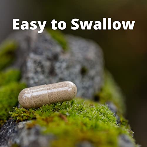 Pure Mountain Botanicals Bacopa Monnieri Capsules - Vegan Caps With Organic Bacopa & Standardized Bacopa Extract Supplement #TOP3