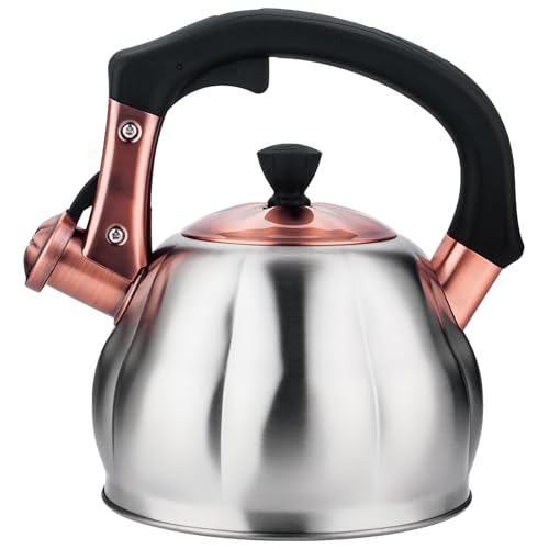 Stainless Steel Tea Kettle for Stove Top Teakettles
