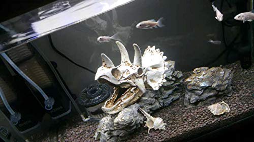 Reptiles-Amphibians Habitat-Hideaway Cave Aquarium-Decorations - Dinosaur Triceratops Imitation Skull Model - Thumbnail 6