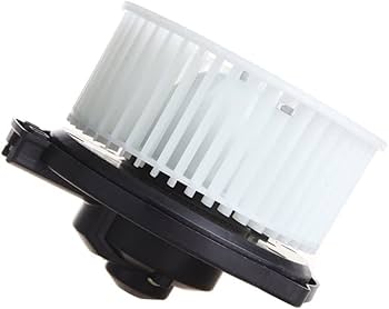 41-Q9mzQT0L._AC_UF350,