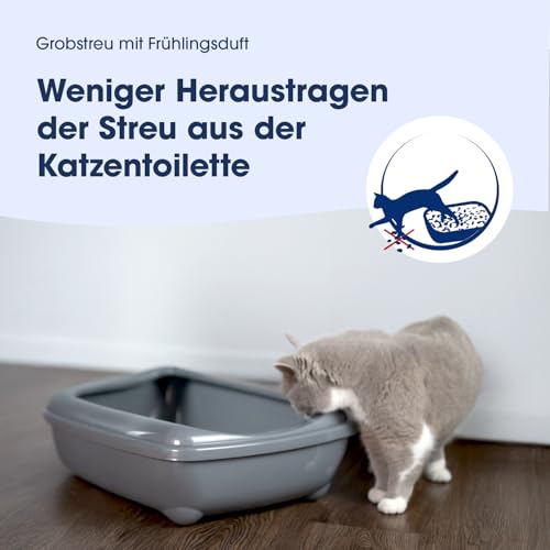 Biokat's Classic fresh 3in1 mit Frühlings-Duft - Klumpende Katzenstreu mit 3 unterschiedlichen Korngrößen - 1 Sack (1 x 10 L)