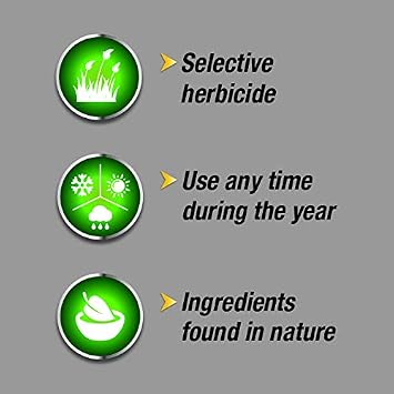 Weed Killer for Lawns Concentrate