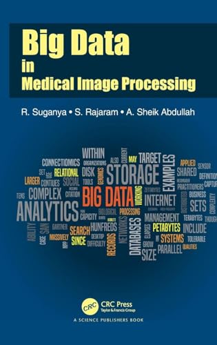 Big Data In Medical Image Processing view 2