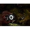 OLYMPUS LED Light Guide LG-1