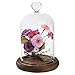 MyGift 7 inch Decorative Cloche with Rustic Wood Base - Clear Glass Bell Jar Dome Centerpiece/Tabletop Collectible Display Case with Top Heart Handle