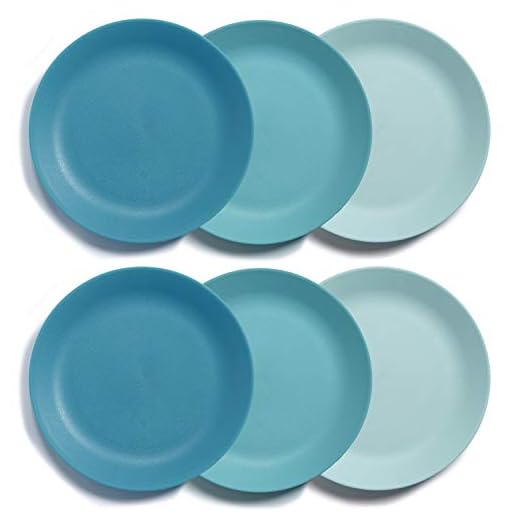 US Acrylic Everest Ultra-Durable Plastic 10 inch Dinner Plates in Blue Sky | set of 6 Reusable, BPA-Free, Made in the USA, Dishwasher Safe Dinnerware