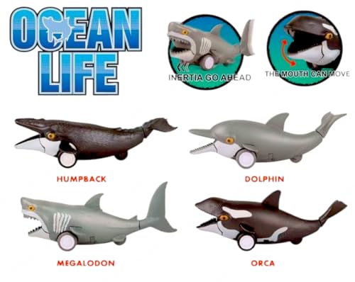 Image of SHAKTISM Ocean Life Pull Back Marine Animals Toy Featuring Megalodon, Orca, Dolphin and Humpback Whale Random Colour Dispatch 2Pc