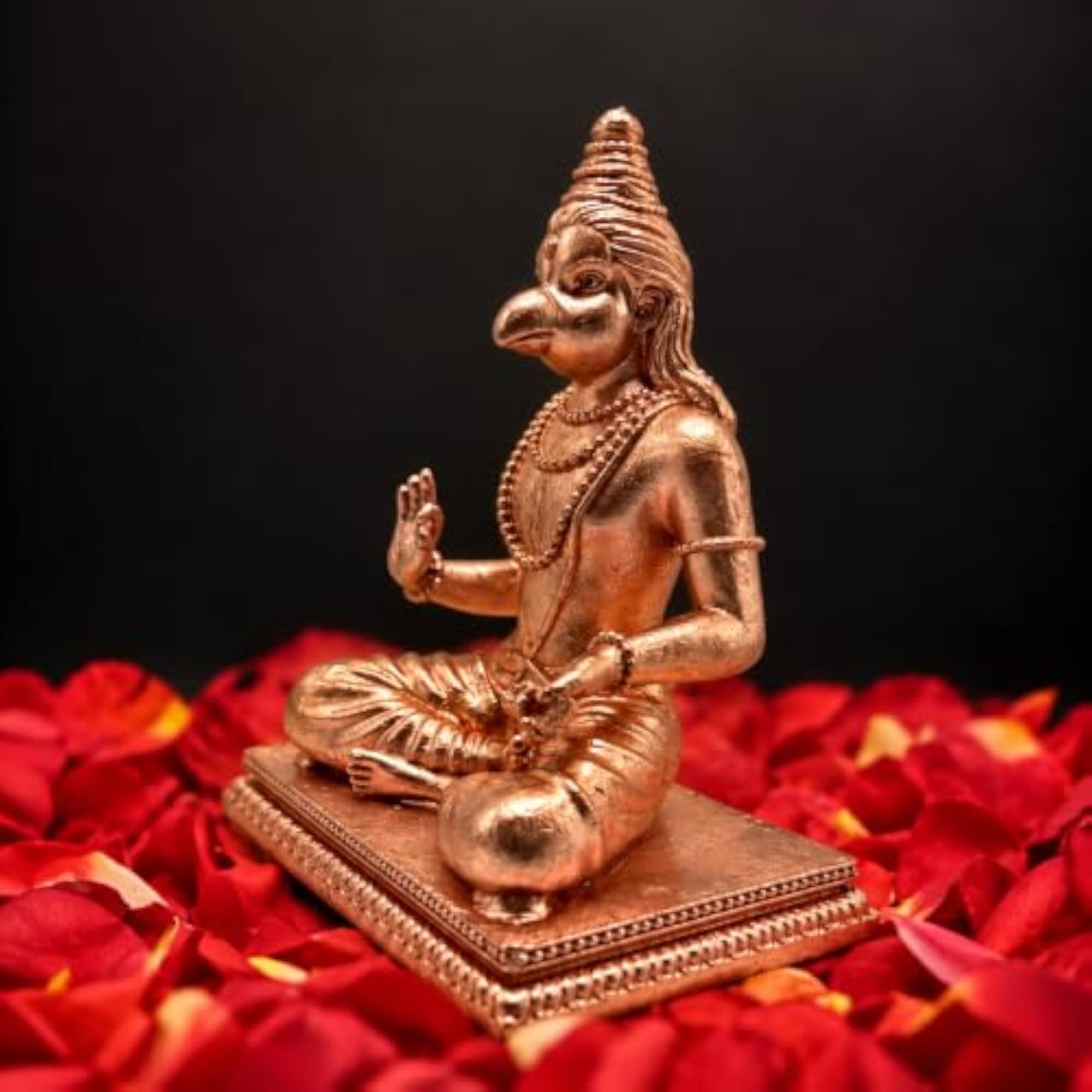 Suka Brahma Maharishi Idol