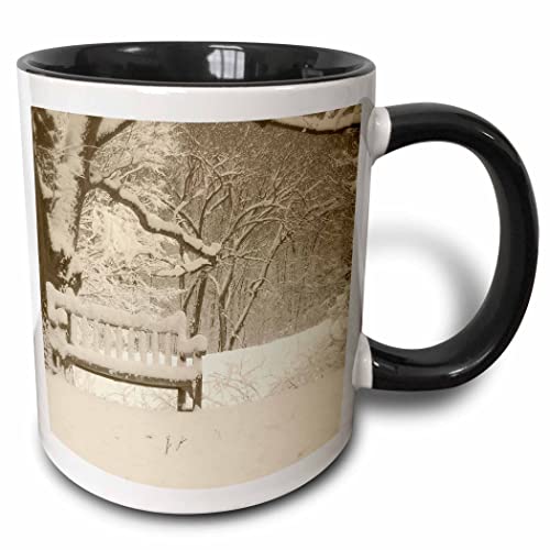 3dRose Nichols Arboretum 1 sepia tone print 11oz Two-Tone Black Mug