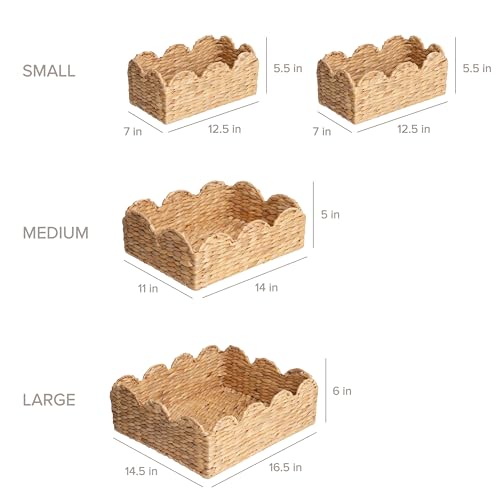 RGI Home Scalloped Edge Baskets, Water Hyacinth, Set of 4 Woven Decorative Baskets, Multi-sized for Organizing in Any Room, Natural Finish by RGI Home - Image 3