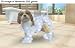Nintendogs + cats Golden Retriever - Nintendo Selects - [3DS]