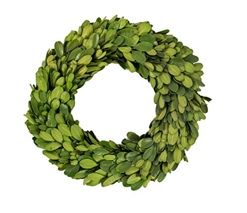 Vita Domi 7.75 Inch Preserved Boxwood Wreath Set Of 2 Green Round Wreaths #TOP1
