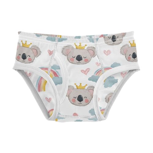 Wusikd Cute Koala Boys' Underwear Cotton Rainbows Clouds Boys Briefs Soft Toddler Underwear 2T