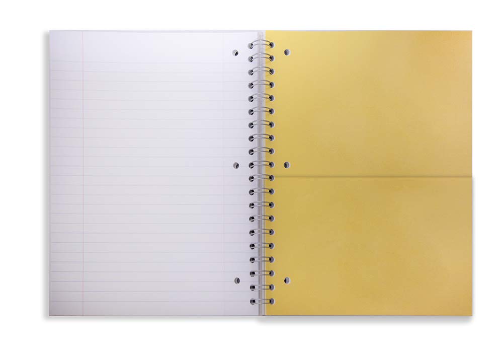 Amazon Basics Wide Ruled Wirebound 3-Subject 150-Sheet Notebook with Pocket Divider - Pack of 6, 10.5 x 8 Inch, Multi-Color