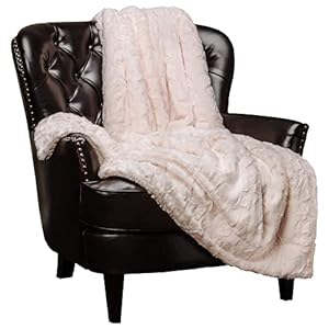 Chanasya Super Soft Fuzzy Faux Fur Throw Blankets – Fluffy Plush Lightweight Cozy Snuggly with Sherpa for Couch Sofa…