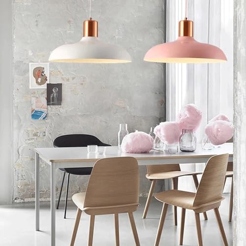 Lampe suspendue à tête unique E27 et lustre de plafond encastré en fer