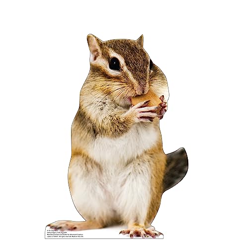 Image of Cardboard People Chipmunk Life Size Cardboard Cutout Standup - Made in USA