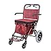 Trolley Carrello della Spesa Vecchio Carrello della Spesa Carrello della Spesa può Essere spinto a sedersi Scooter a Quattro Ruote Portatile Pieghevole (Color : Red, Size : 40 * 75 * 90cm)
