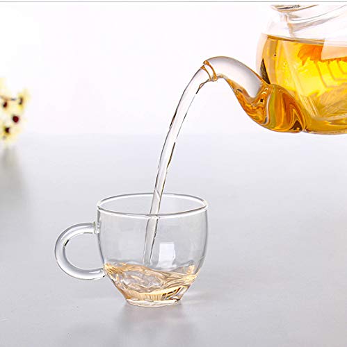 Image of Glass Teapot 20oz with Infuser,Borosilicate Kettle Set Tea Pot for Loose Tea, Flowering Teas,Stovetop and Microwavable Safe(600ml)