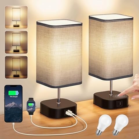 Touch Lamps with USB-C and A Ports Cover