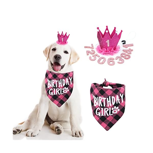 Dog birthday bandana - girl dog birthday hat with number - dog birthday supplies for small and medium dog pet