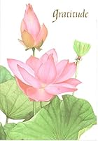 Gratitude B015T87398 Book Cover